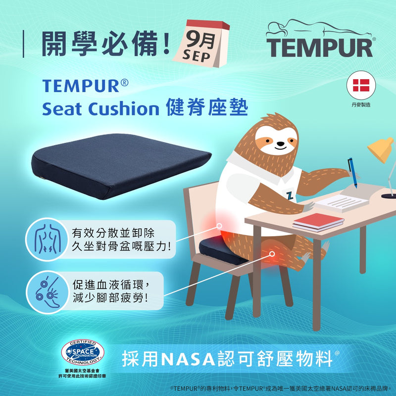 Seat Cushion 健脊座墊