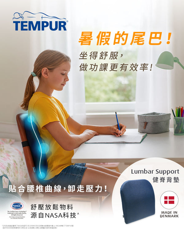 Lumbar Support 健脊背墊